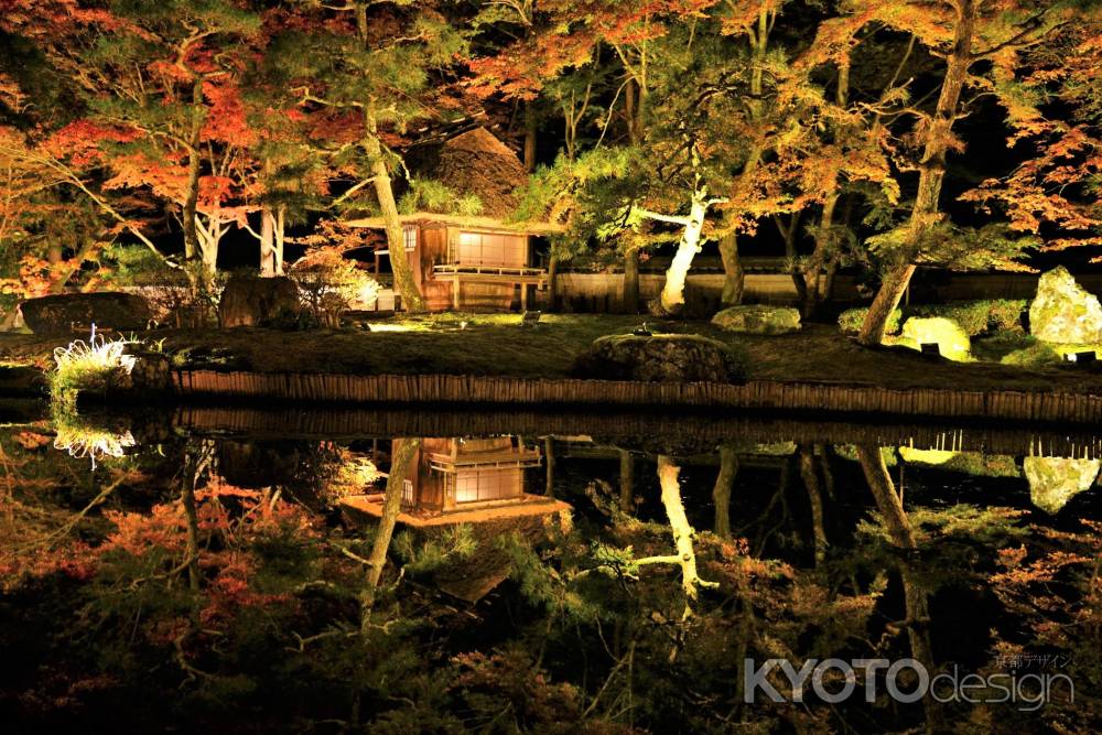 美しすぎる秋の夜