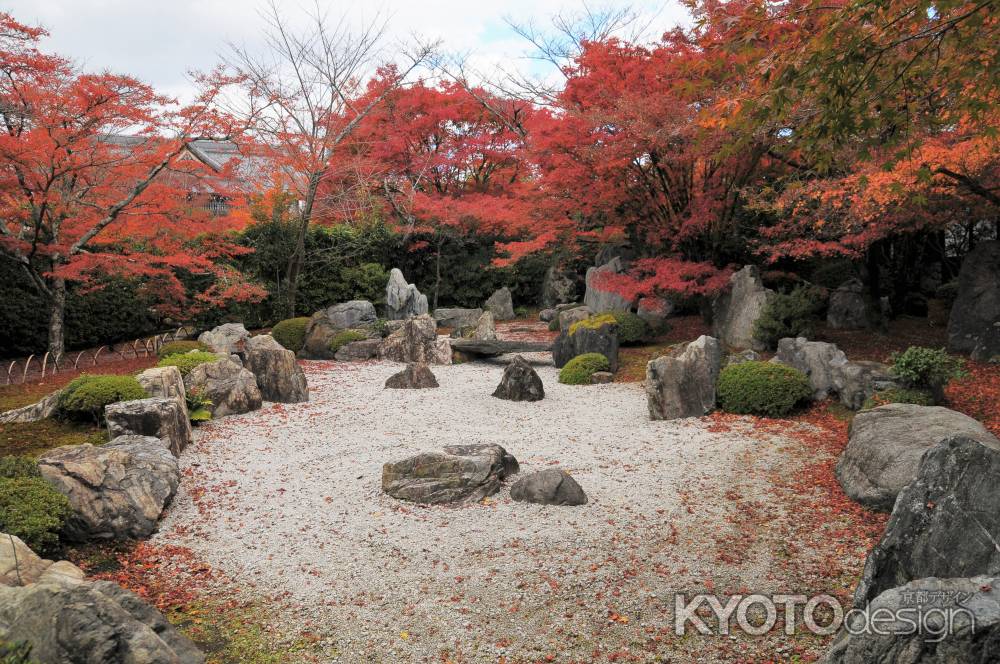 枯山水に落ち葉