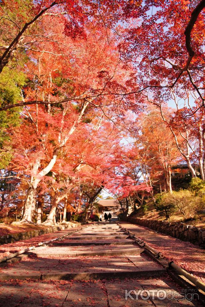 勅使坂　敷もみじ