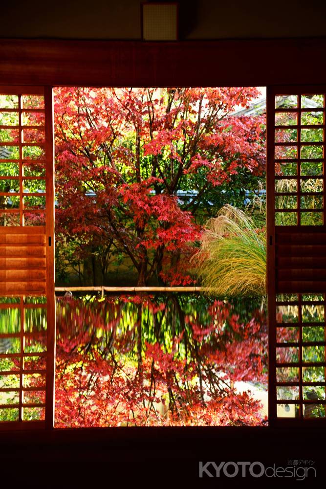 秋色リフレクション