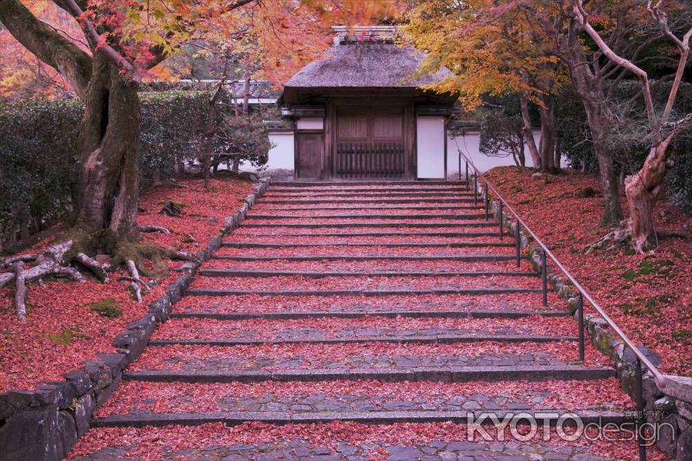 松虫姫と鈴虫姫の秋
