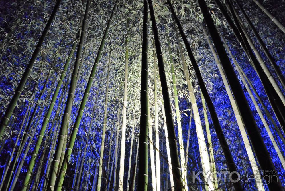 京都・嵐山花灯路－2021