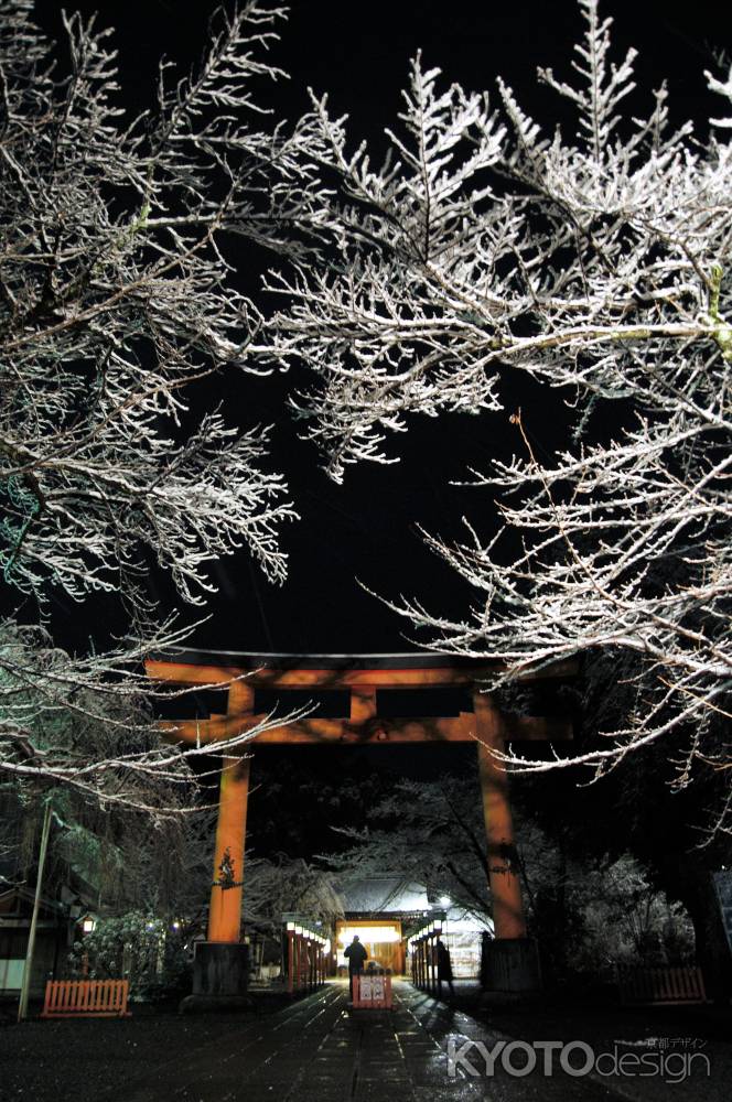 鳥居と不香の花
