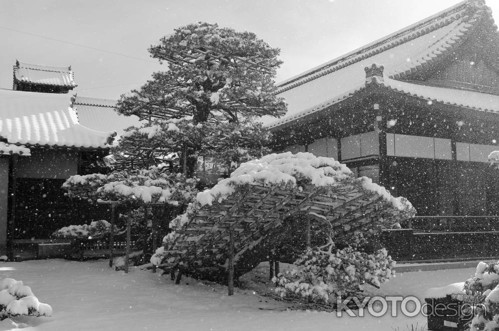 陸舟の松に降る雪は…