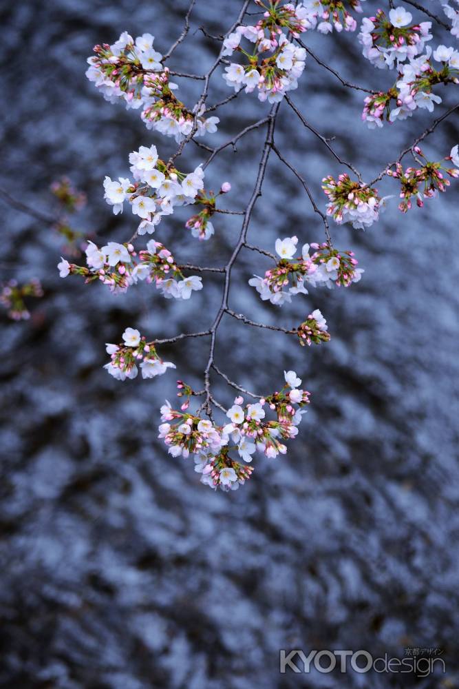 川の流れのように