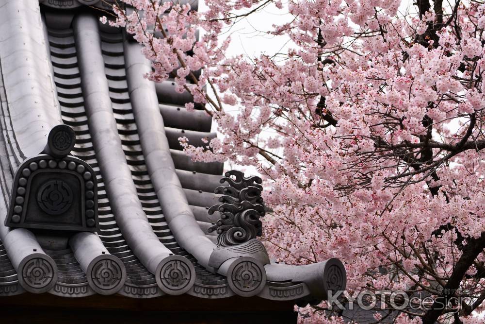 相手を尊重しつつ…