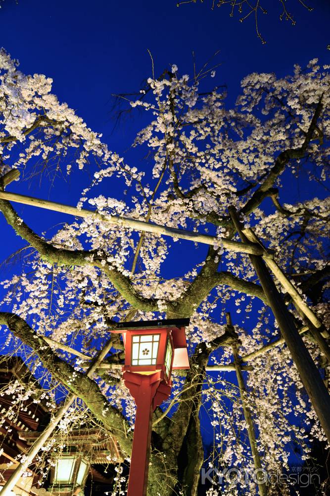 ブルーモーメント魁桜