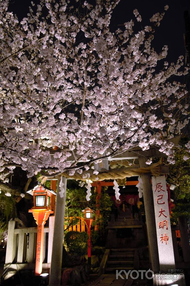 夜桜と辰巳大明神
