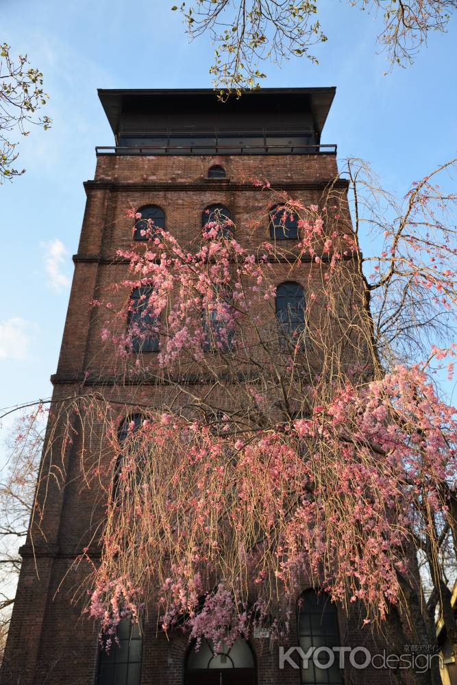 宇治駐屯地の春