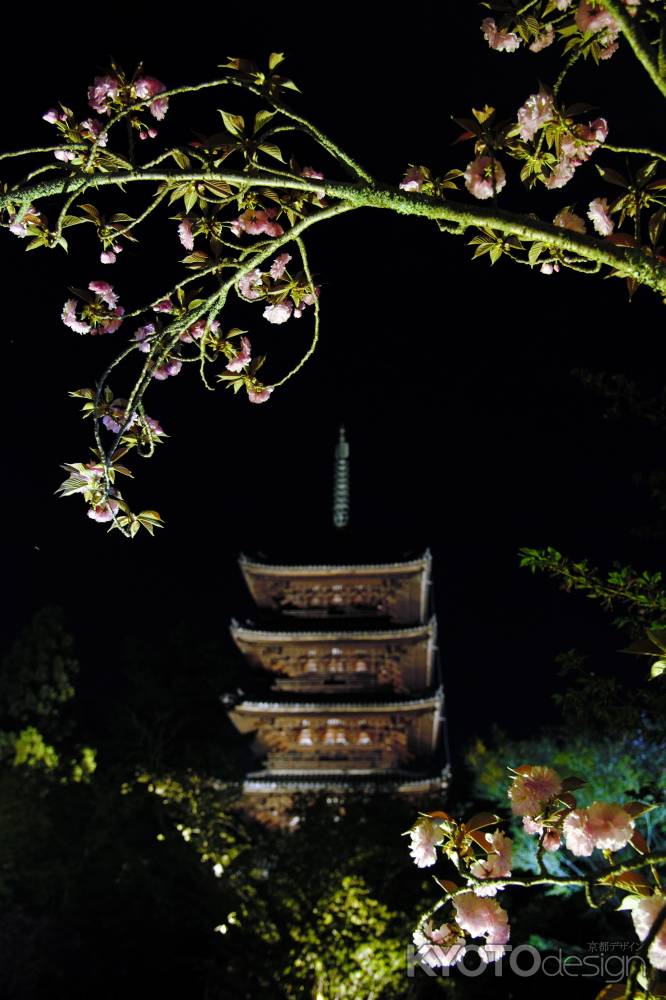 五重塔と八重桜