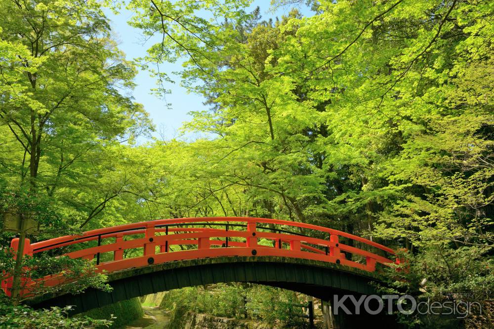 青もみじと鶯橋