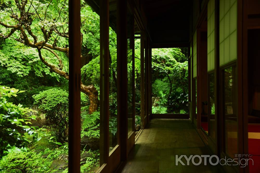 迫りくる雨と緑