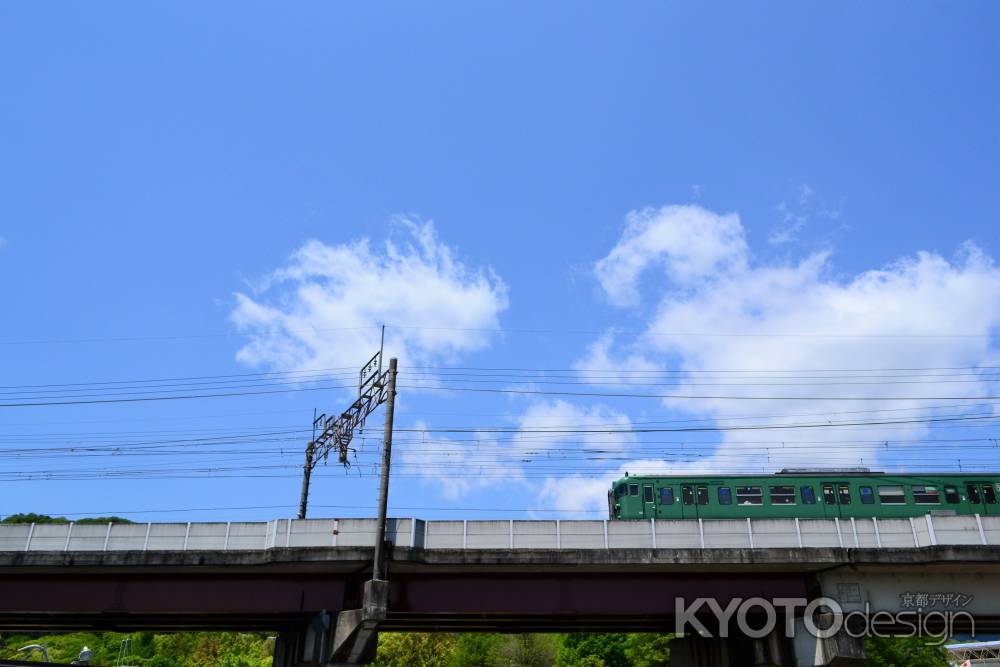 カエル列車　通過します