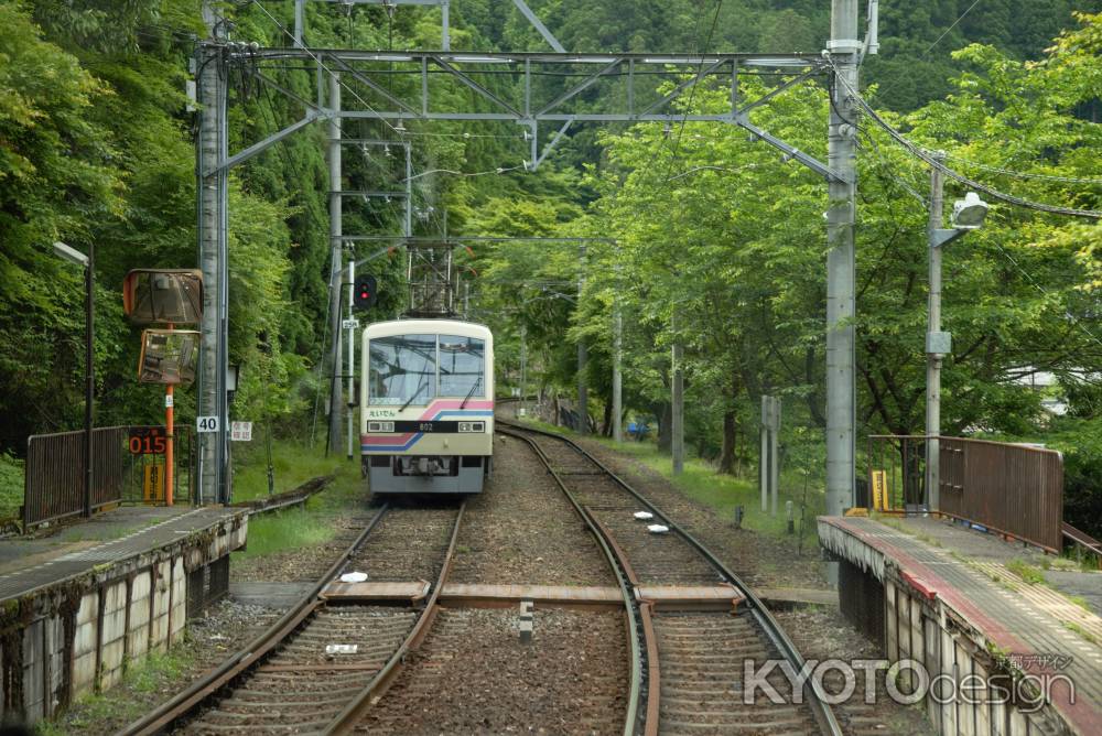 緑に包まれる　叡電