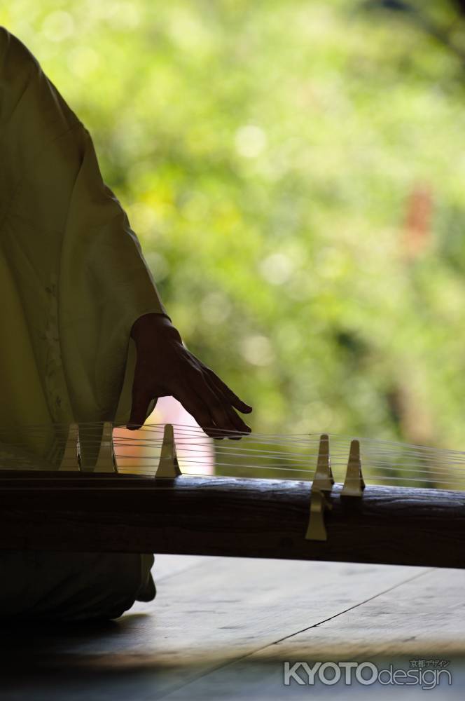 萩まつり　琴の音