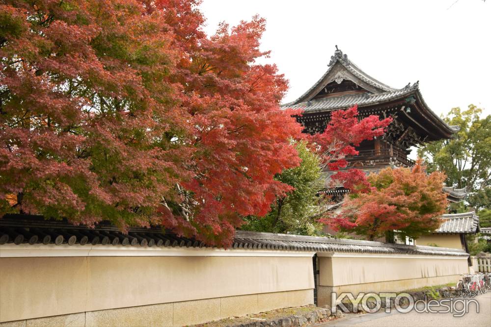 嵯峨釈迦堂さんの秋