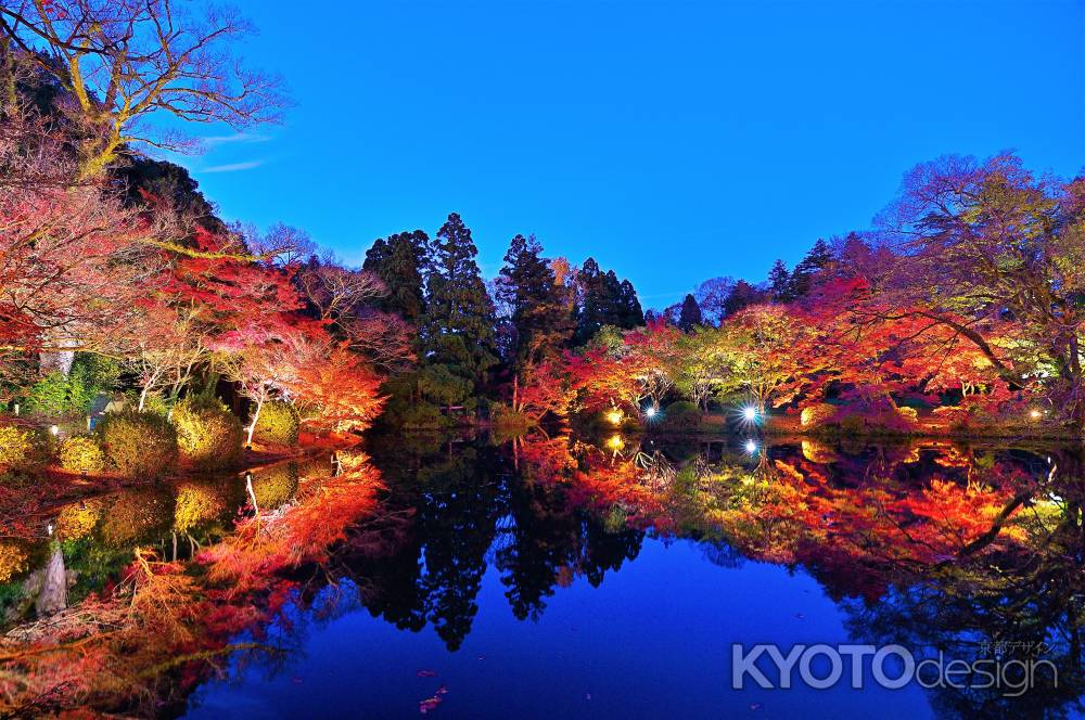 もみじ池　水鏡