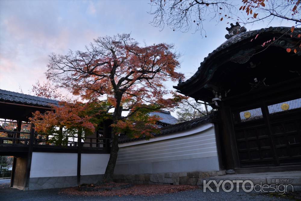 格式と品格の秋