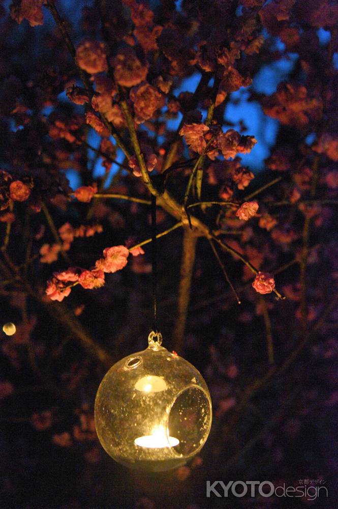 花の庭　灯り