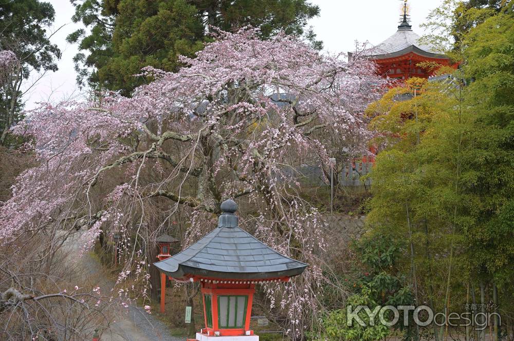 西山のお大師さま　春
