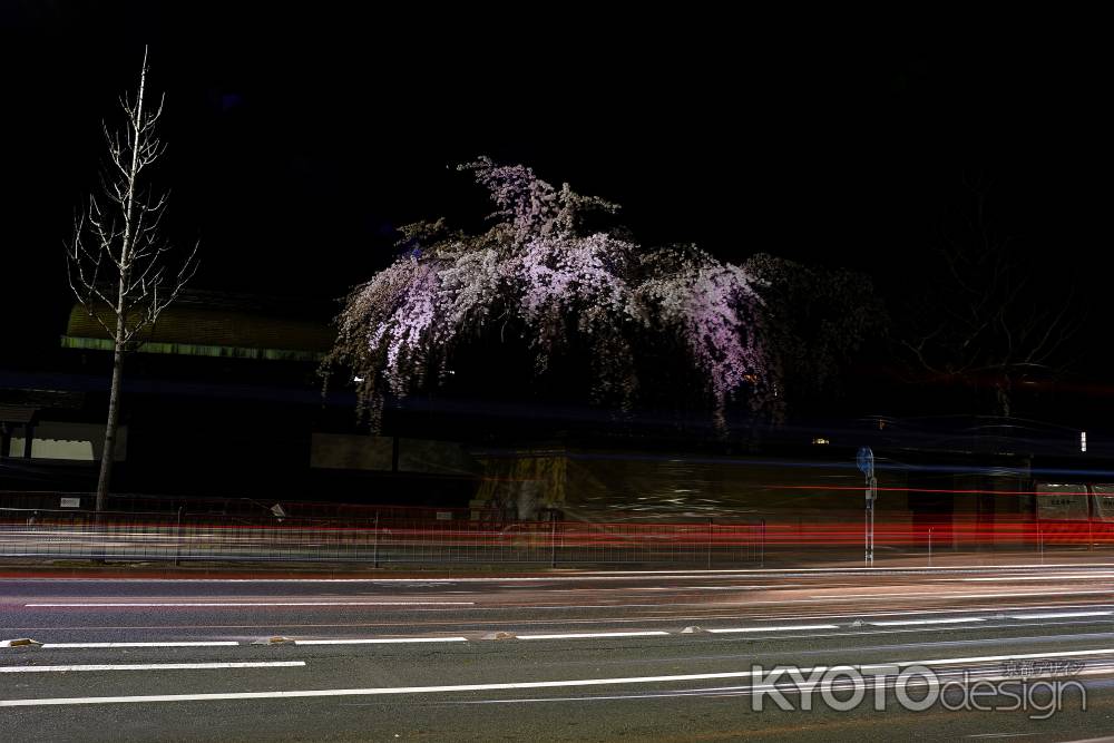 烏丸通りに佇む