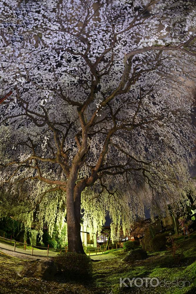 花は根にかえり　真味は土にとどまる