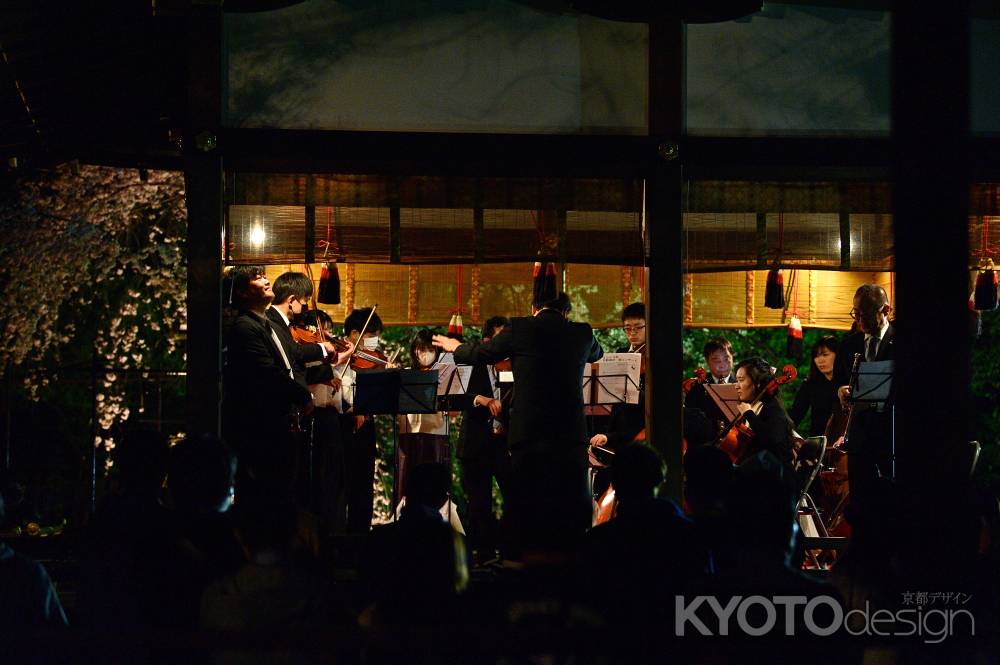 京都フィロムジカ管弦楽団さん　さくらコンサート