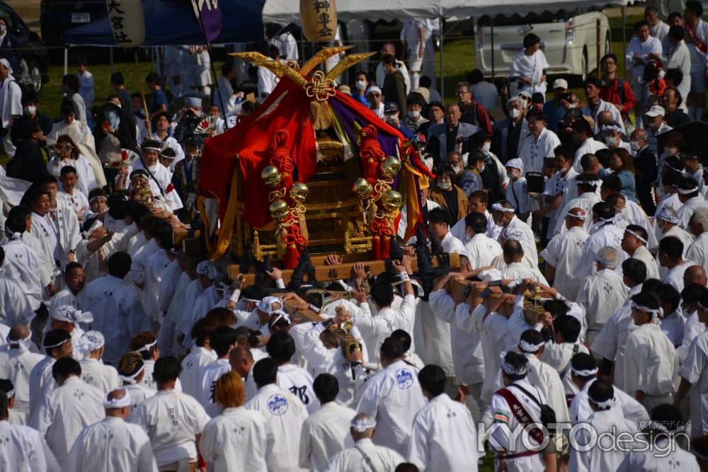 ホイっと！ホイっと！ゆっくり！よい！よい！