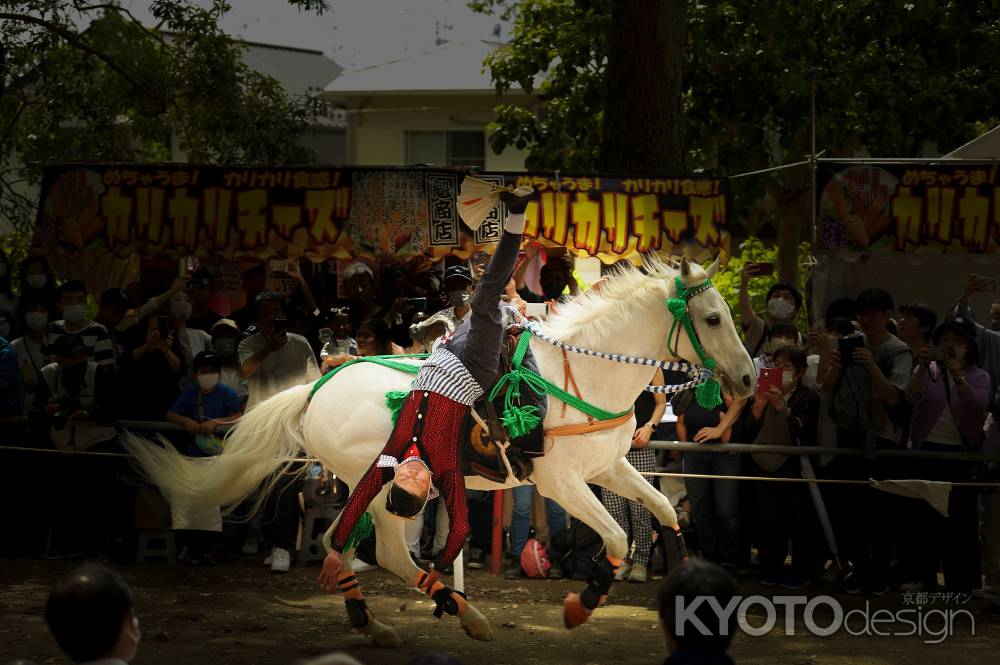 藤下がり　お見事