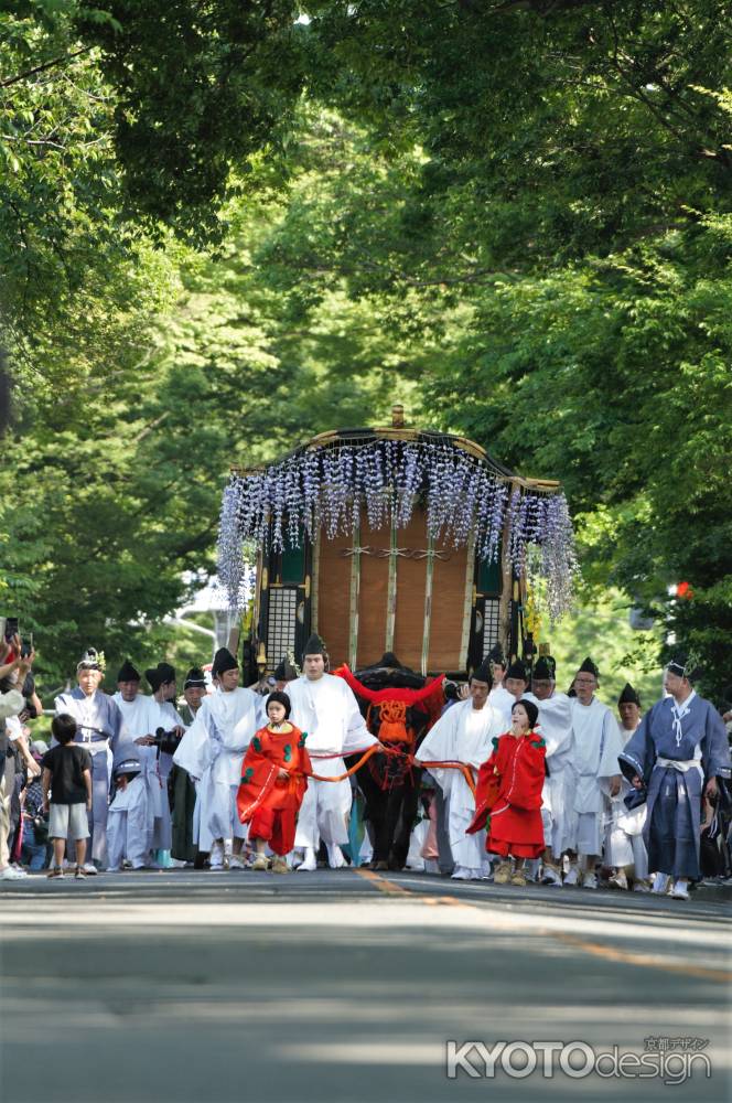 藤の牛車　加茂街道をゆく