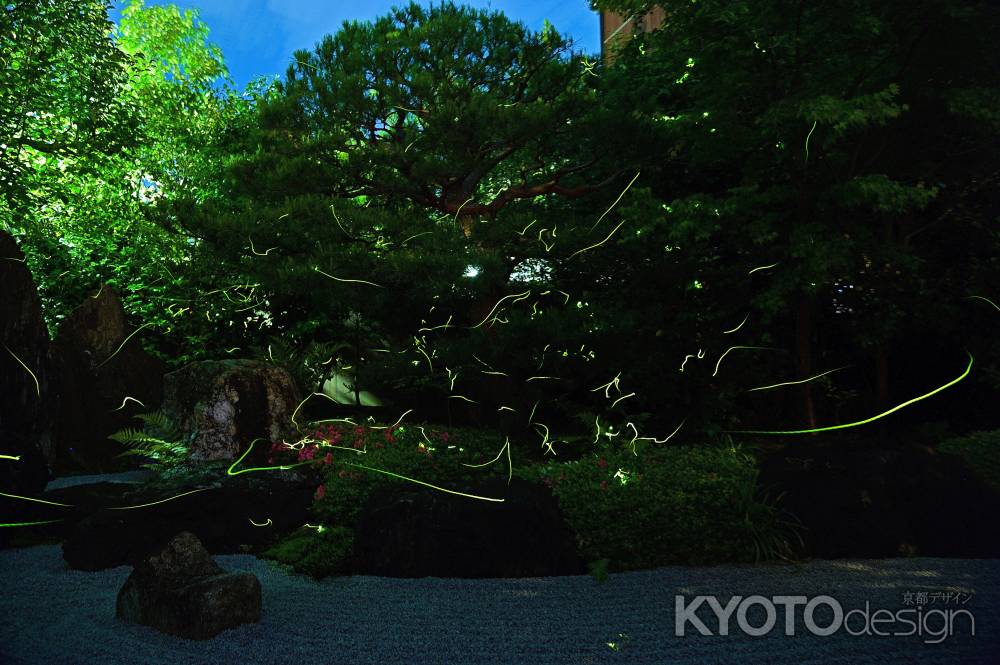 甘露庭に舞う蛍