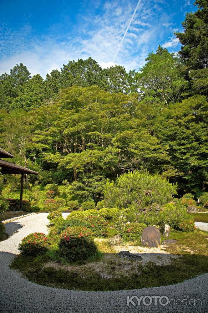 亀島　飛行機雲