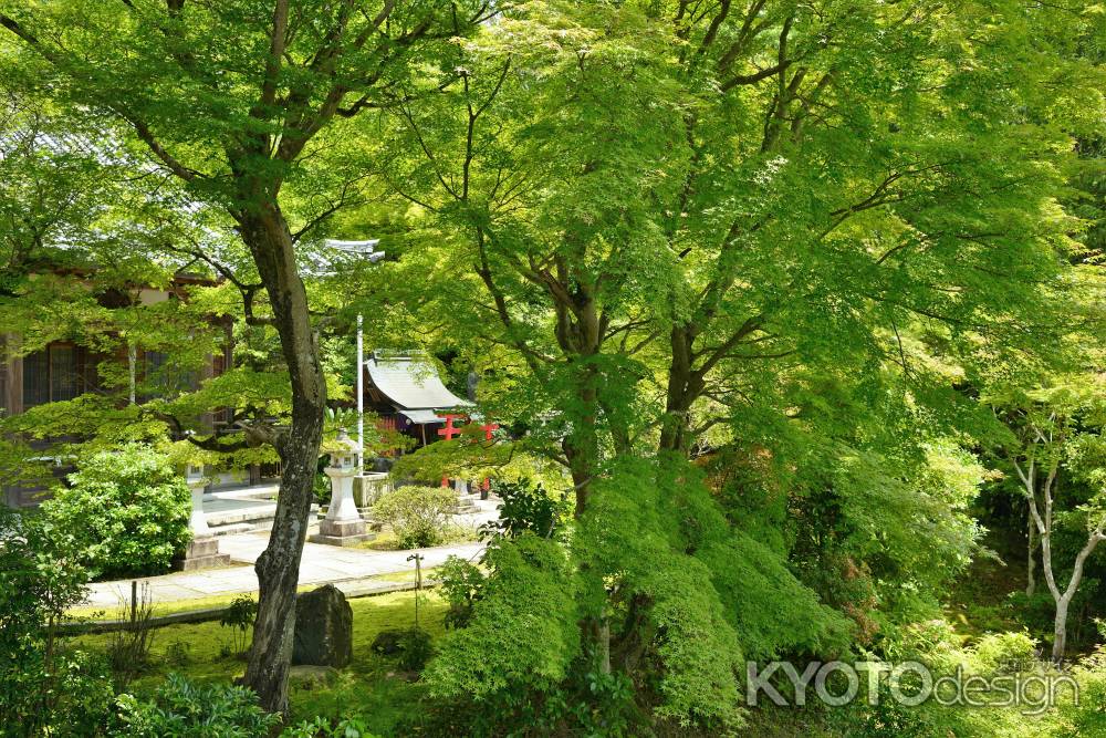 深緑　本堂と香取大明神