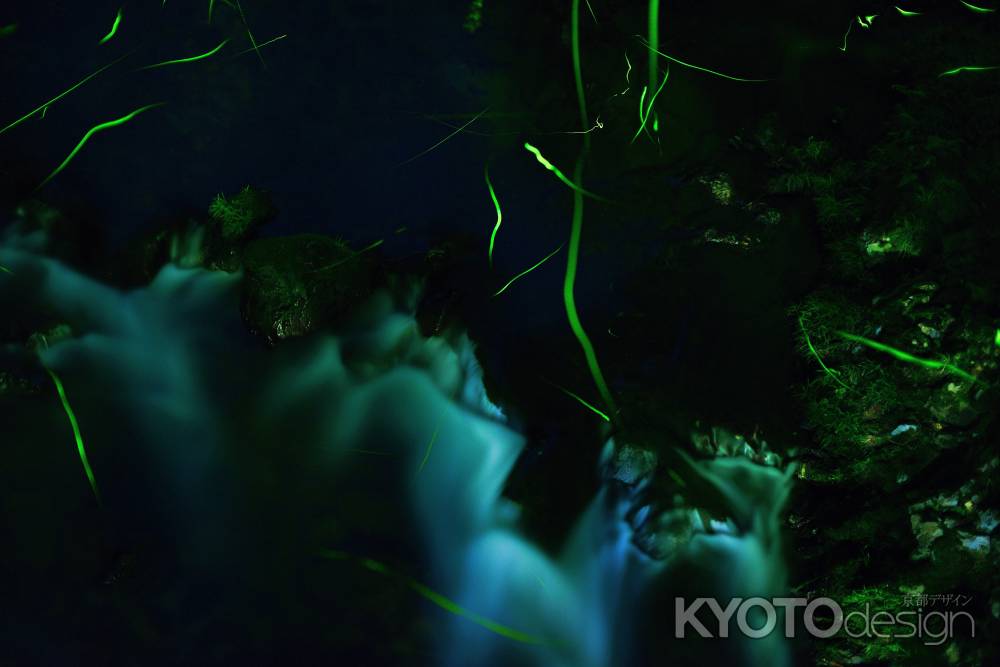 清滝川の流れとともに