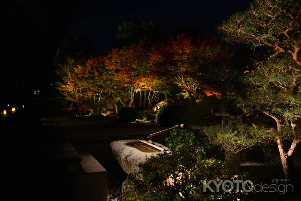 妙顕寺さん　秋　ライトアップ　2023