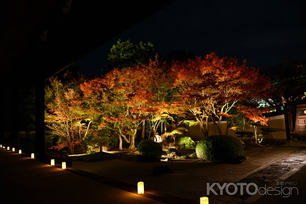 四海唱導の庭　紅葉