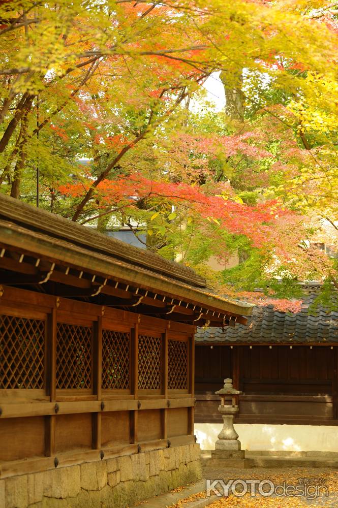 上御霊神社さん　秋　2023