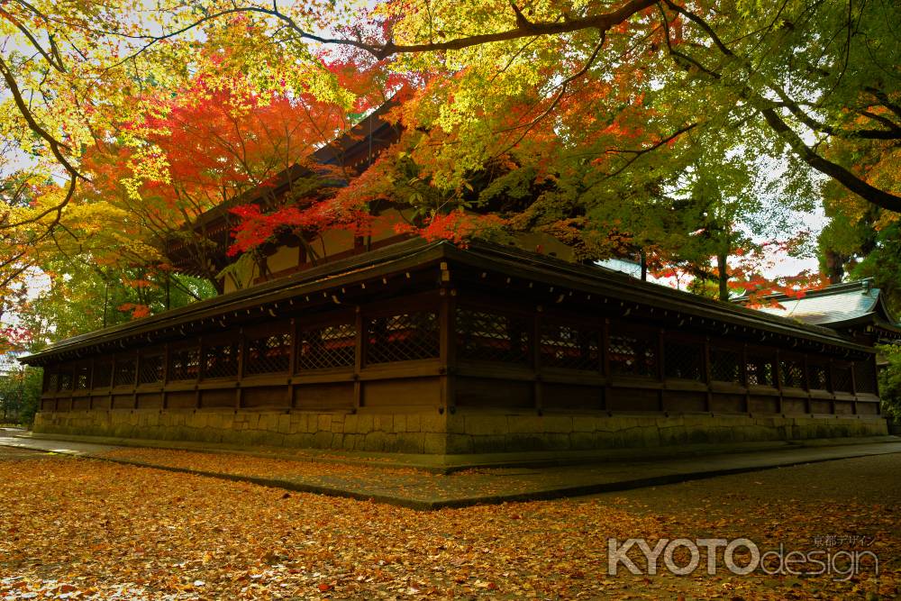 銀杏　散り始め