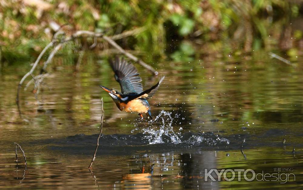 竜の水を得る如し