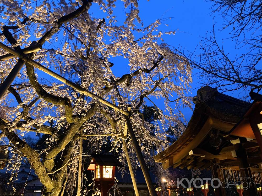 紫の上も楽しむ