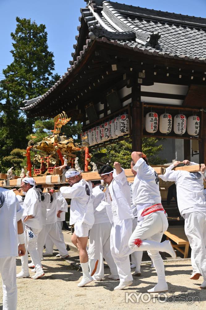 春～ホイっとホイっと！