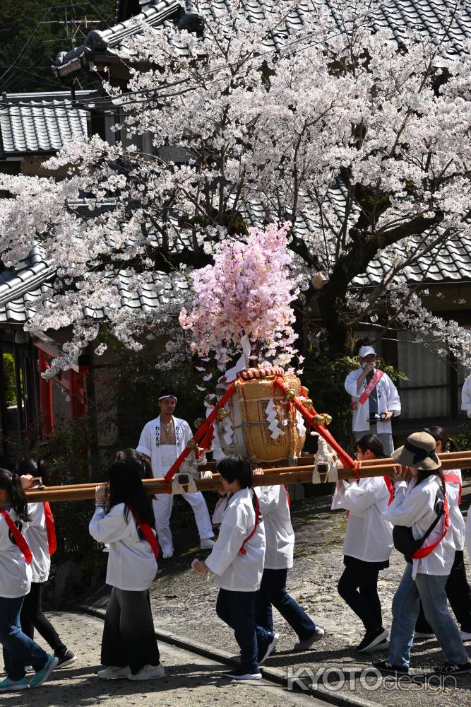 女神輿とソメイヨシノ