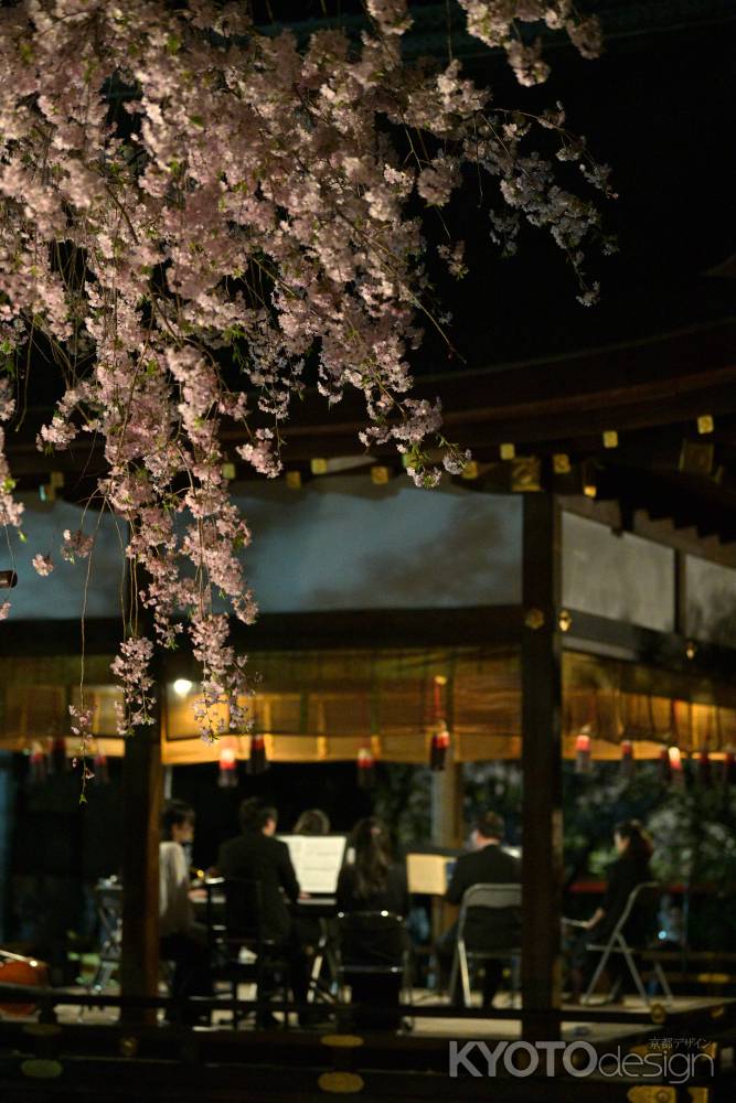 桜コンサート　2