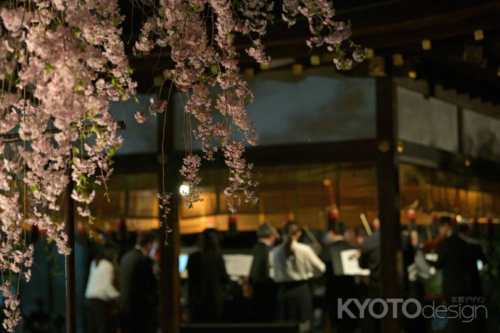 管弦楽アンサンブル　枝垂桜