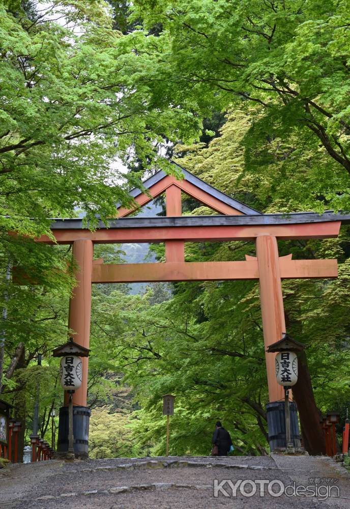 山王鳥居　新緑