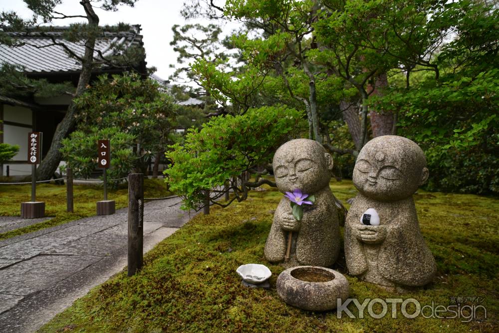 妙心寺 大雄院 春の特別拝観　大雄院襖絵プロジェクト完成記念　2024