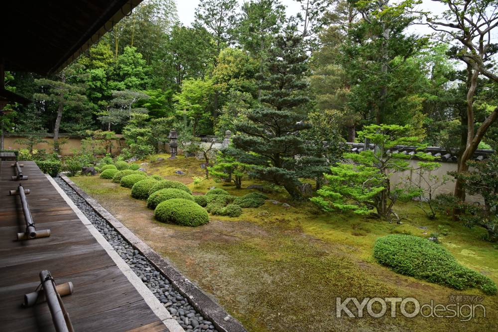 苔のみの枯山水