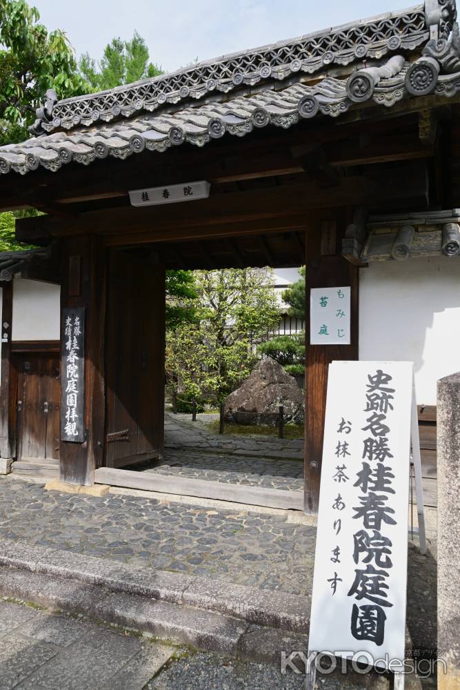 桂春院さん　お抹茶あります