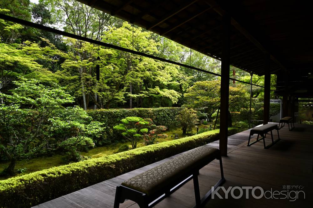 真如の庭　新緑