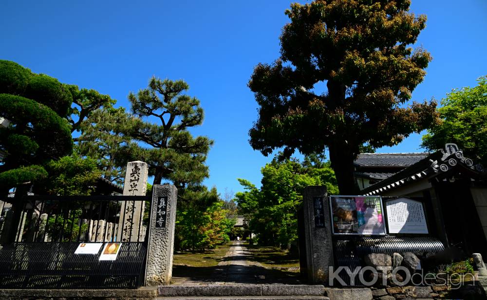 半僧坊大権現大開帳　2024